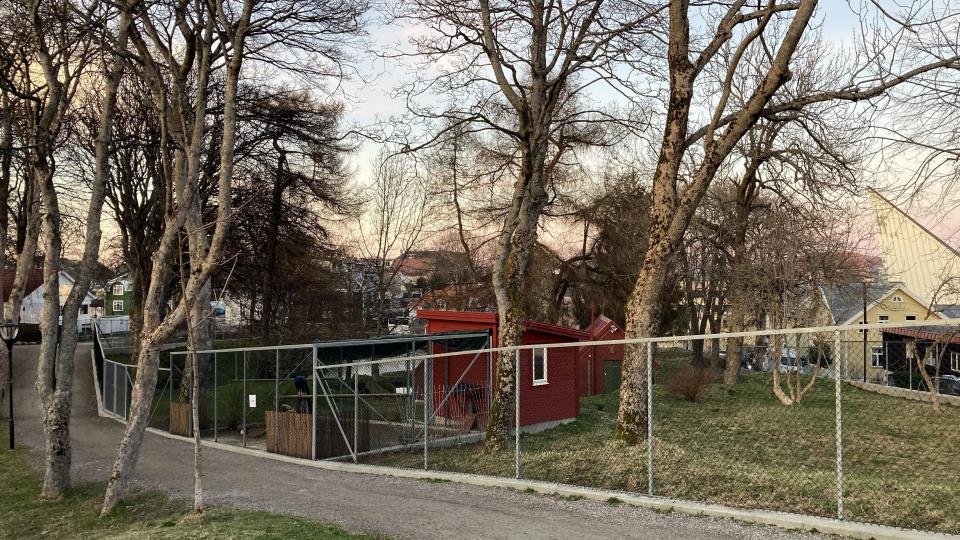 Lenke til artikkel: Utbrudd av fugleinfluensa i Vanndamman