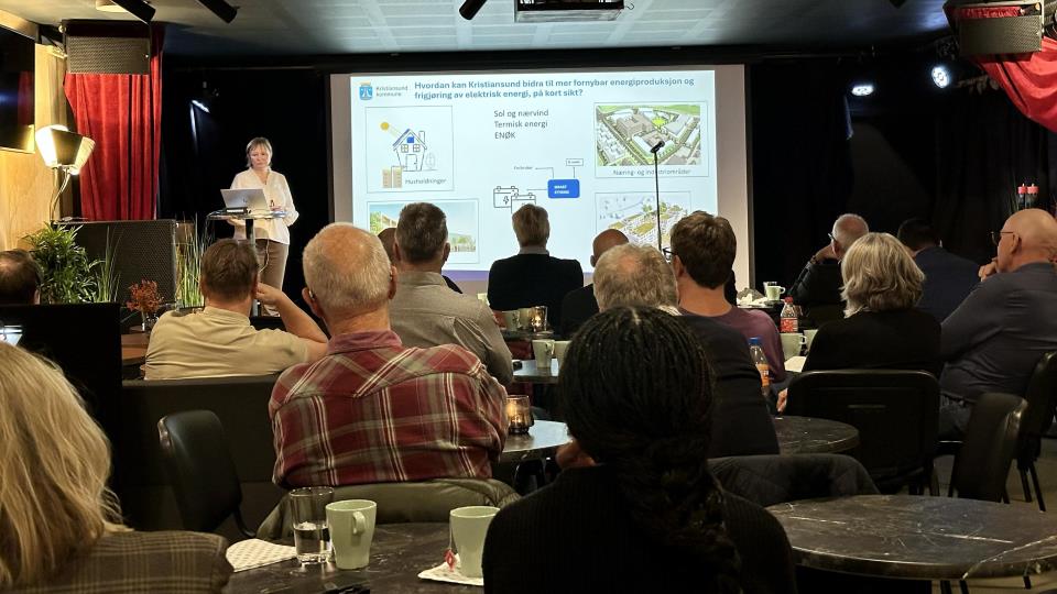 Lenke til artikkel: Mot en grønnere og mer selvstendig energifremtid