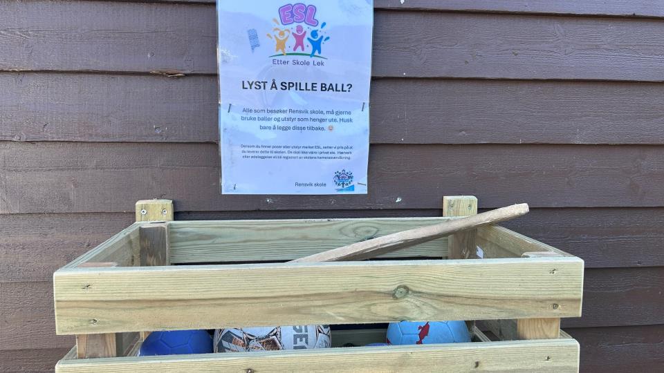 Lenke til artikkel: Lyst å spille ball på ettermiddagen? 