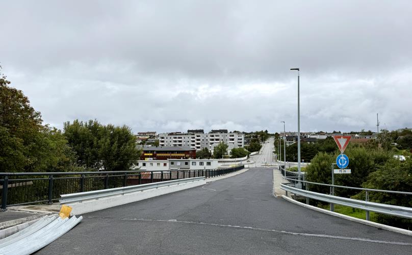 Lenke til artikkel: Åpning utsatt