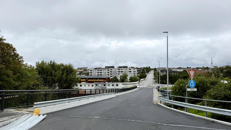 Lenke til artikkel: Åpning utsatt