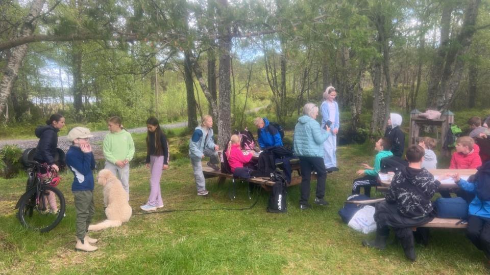 Lenke til artikkel: 5. trinn på tur med hund til Hoel og Rensvikvatnet