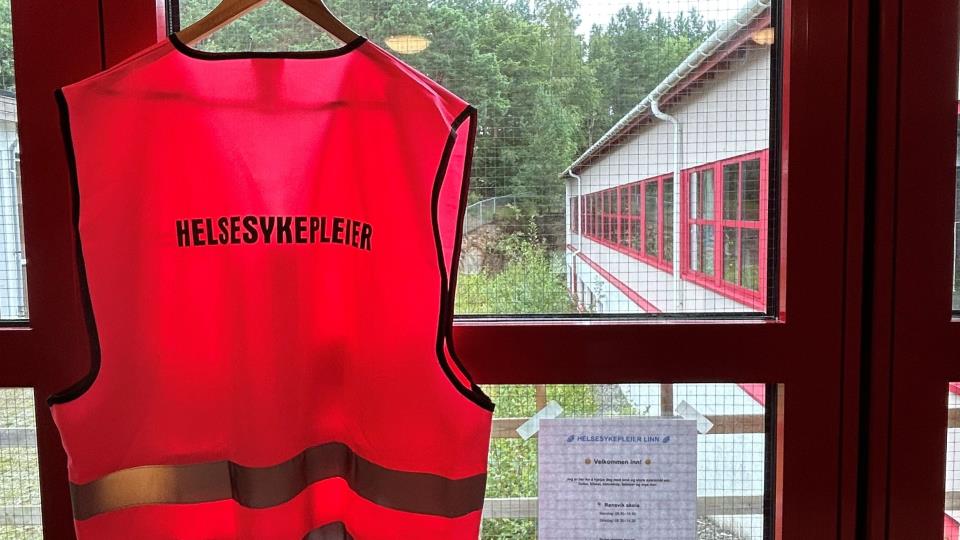 Lenke til artikkel: Helsesykepleier