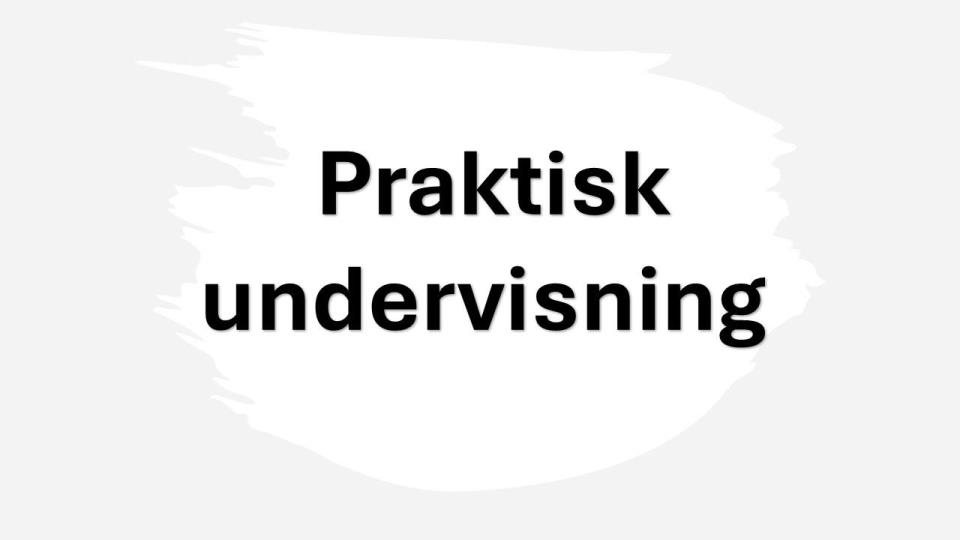 Lenke til artikkel: Valgfag på mellomtrinnet 