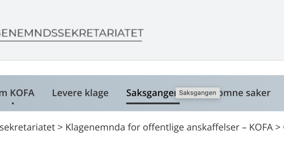 Lenke til artikkel:  Klage til KOFA førte ikke frem