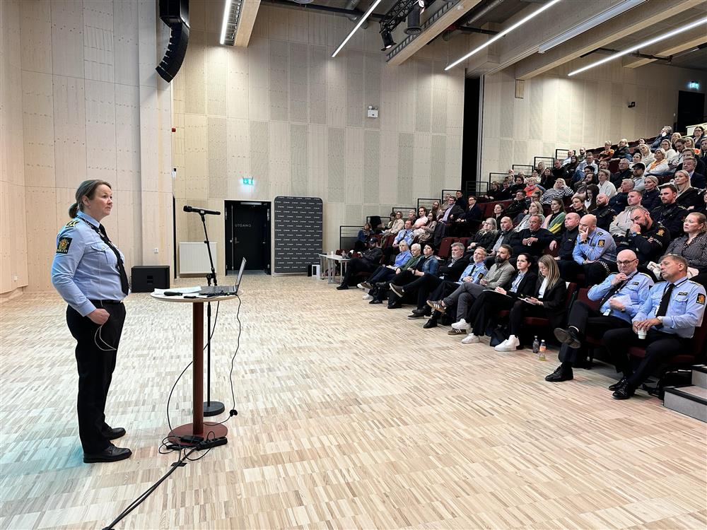 skjerm folk innendørs - Klikk for stort bilde