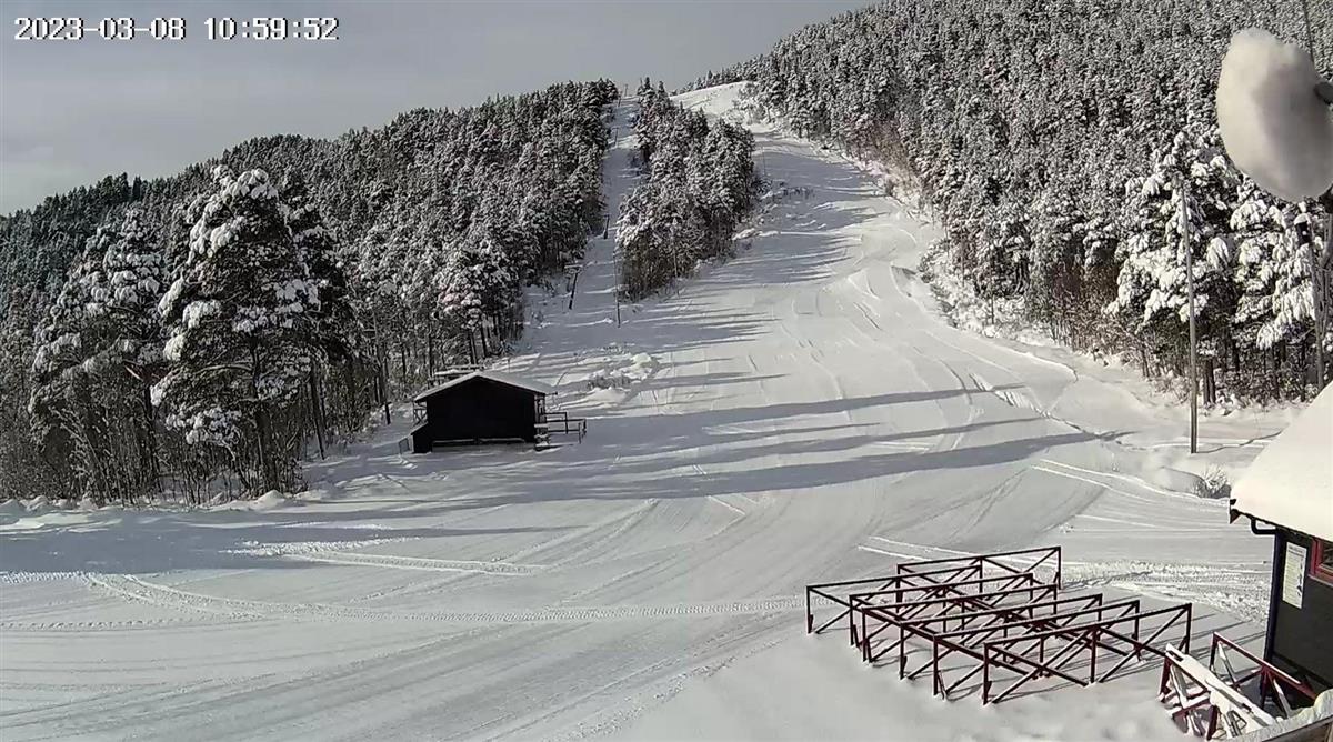 Freikollbakken dekt av snø og klar for skigåere - Klikk for stort bilde