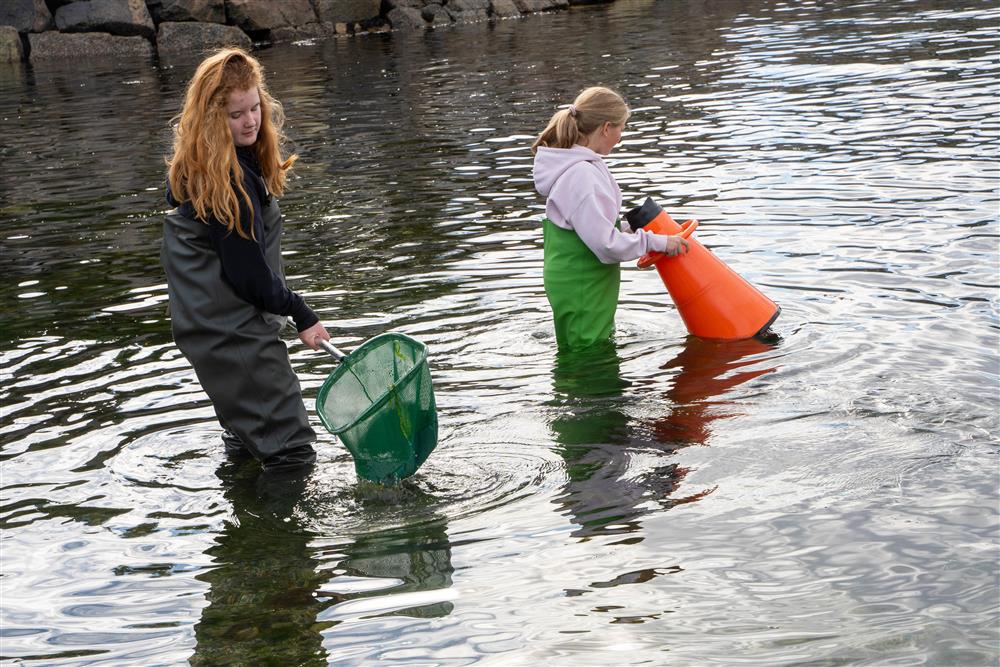 barn - Klikk for stort bilde