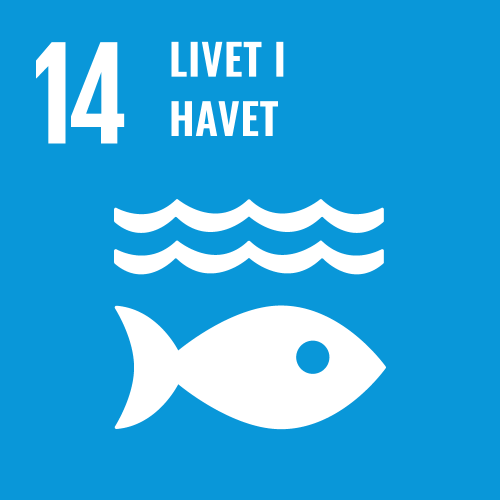 FN bærekraftsmål 14 - Livet i havet - Klikk for stort bilde