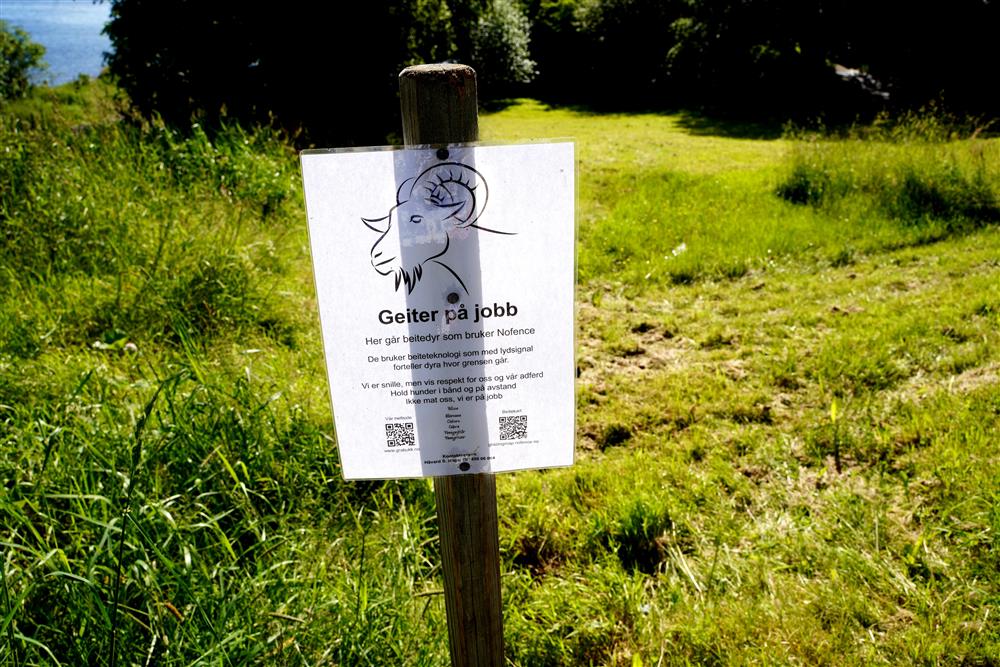 Skilt for å informere om at det er geiter på beite i Kolvika. Her finner du også kontaktinformasjon dersom du har spørsmål til eieren av geitene. - Klikk for stort bilde