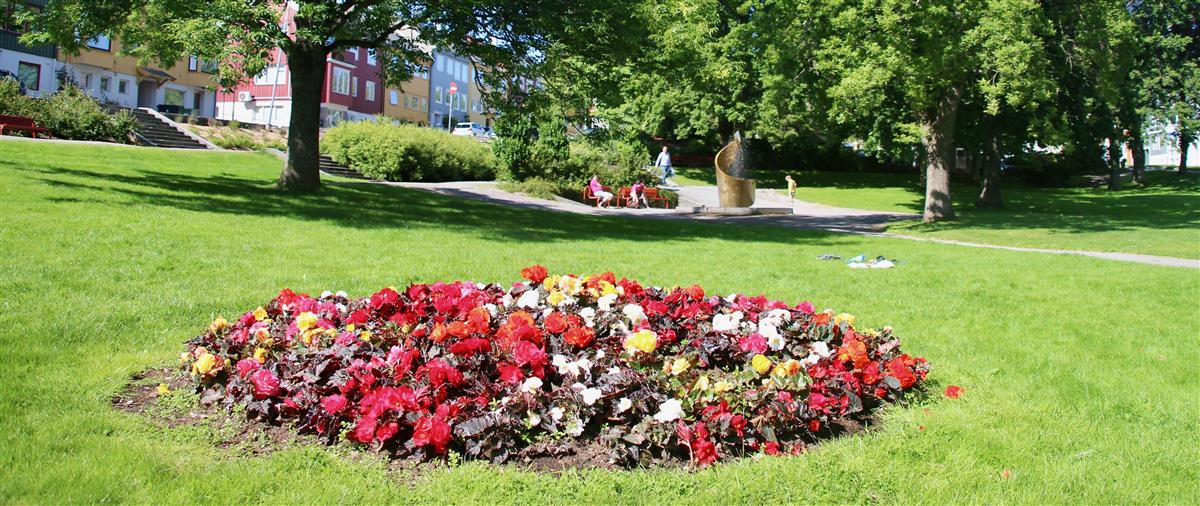 hovedparken i sentrum som viser blomster og et gressområde med sitteplasser i bakgrunnen - Klikk for stort bilde