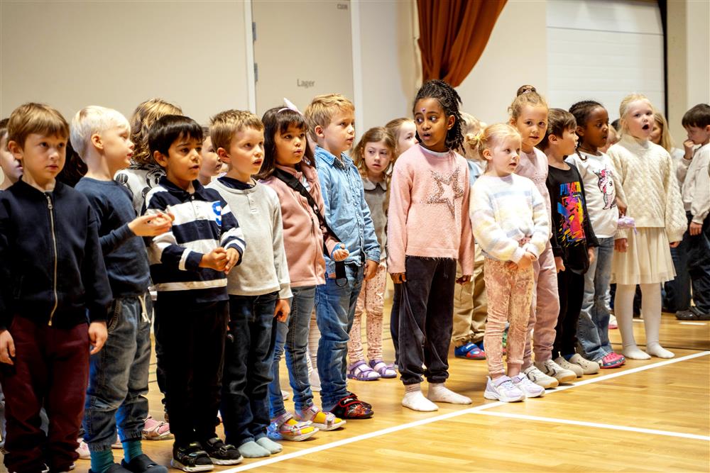 folk skole - Klikk for stort bilde