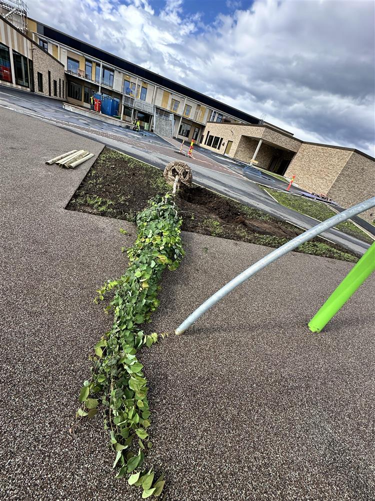 interiør og eksteriør fra nybygd skole - Klikk for stort bilde
